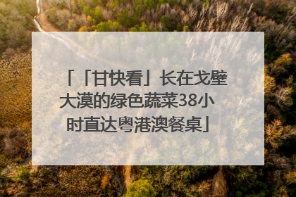 「甘快看」长在戈壁大漠的绿色蔬菜38小时直达粤港澳餐桌