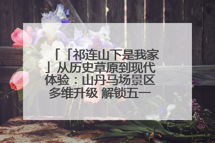 「祁连山下是我家」从历史草原到现代体验：山丹马场景区多维升级 解锁五一文旅新玩法