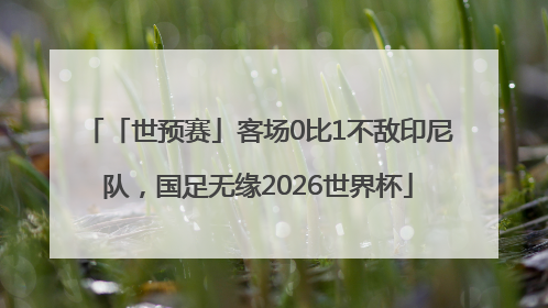 「世预赛」客场0比1不敌印尼队，国足无缘2026世界杯