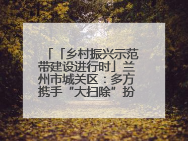 「乡村振兴示范带建设进行时」兰州市城关区：多方携手“大扫除”扮靓乡村“颜值”