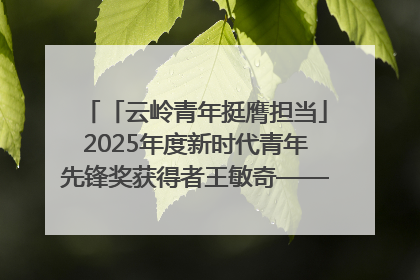 「云岭青年挺膺担当」2025年度新时代青年先锋奖获得者王敏奇——澜沧江上好渔人