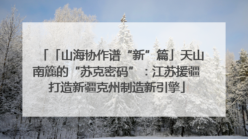 「山海协作谱“新”篇」天山南簏的“苏克密码”：江苏援疆打造新疆克州制造新引擎