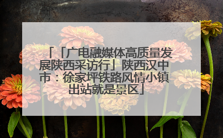 「广电融媒体高质量发展陕西采访行」陕西汉中市：徐家坪铁路风情小镇 出站就是景区