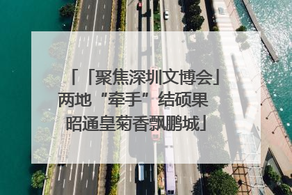 「聚焦深圳文博会」两地“牵手”结硕果 昭通皇菊香飘鹏城