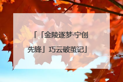 「金陵逐梦·宁创先锋」巧云破茧记