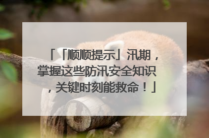 「顺顺提示」汛期，掌握这些防汛安全知识，关键时刻能救命！