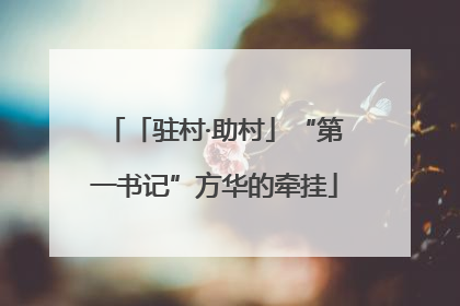 「驻村·助村」“第一书记”方华的牵挂