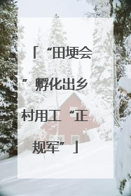 “田埂会”孵化出乡村用工“正规军”