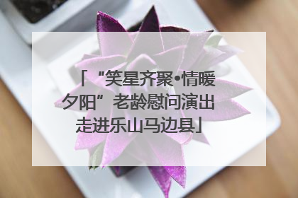 “笑星齐聚•情暖夕阳”老龄慰问演出走进乐山马边县