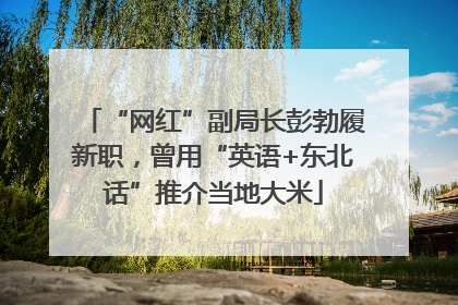 “网红”副局长彭勃履新职，曾用“英语+东北话”推介当地大米