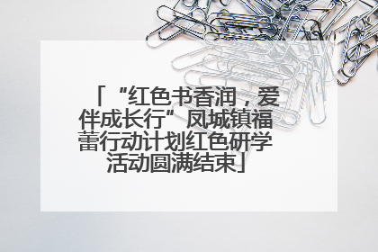 “红色书香润，爱伴成长行”凤城镇福蕾行动计划红色研学活动圆满结束