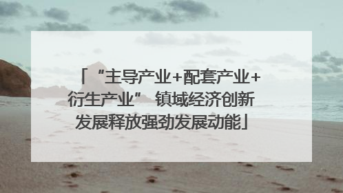 “主导产业+配套产业+衍生产业” 镇域经济创新发展释放强劲发展动能