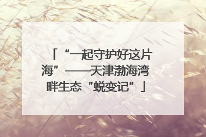 “一起守护好这片海”——天津渤海湾畔生态“蜕变记”