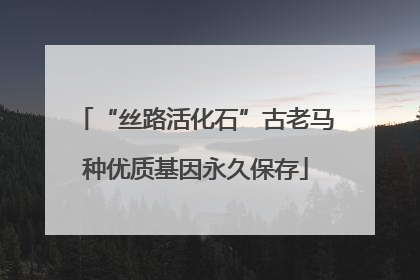 “丝路活化石”古老马种优质基因永久保存