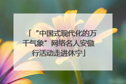 “中国式现代化的万千气象”网络名人安徽行活动走进休宁