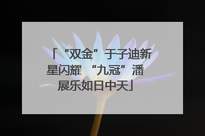 “双金”于子迪新星闪耀 “九冠”潘展乐如日中天