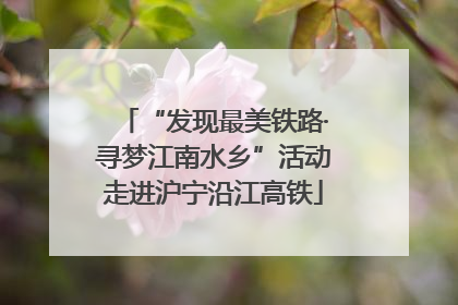 “发现最美铁路·寻梦江南水乡”活动走进沪宁沿江高铁