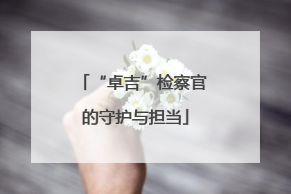 “卓吉”检察官的守护与担当