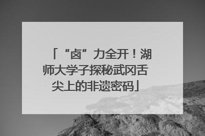 “卤”力全开！湖师大学子探秘武冈舌尖上的非遗密码