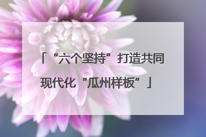 “六个坚持”打造共同现代化“瓜州样板”