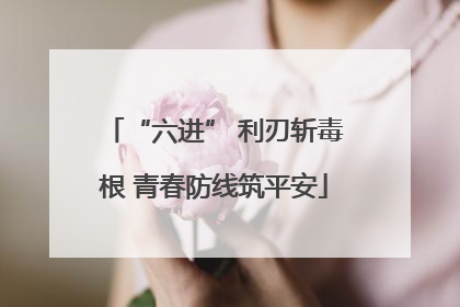 “六进” 利刃斩毒根 青春防线筑平安
