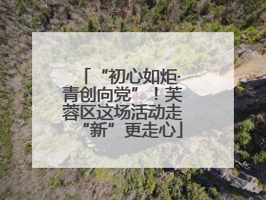 “初心如炬·青创向党”！芙蓉区这场活动走“新”更走心