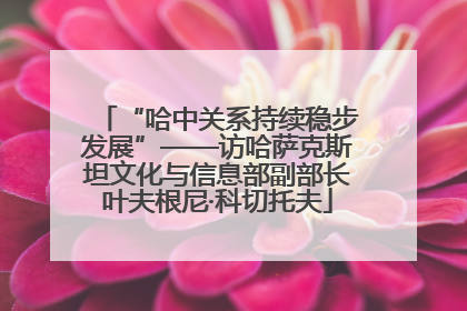 “哈中关系持续稳步发展”——访哈萨克斯坦文化与信息部副部长叶夫根尼·科切托夫