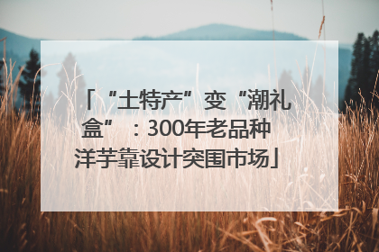 “土特产”变“潮礼盒”：300年老品种洋芋靠设计突围市场