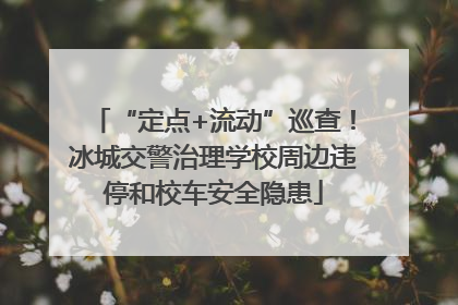 “定点+流动”巡查！冰城交警治理学校周边违停和校车安全隐患