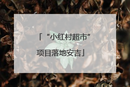 “小红村超市”项目落地安吉