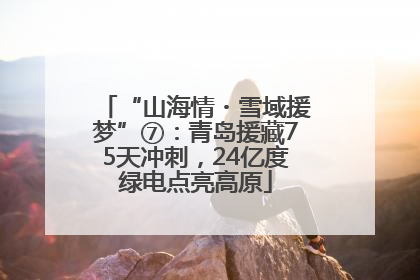“山海情・雪域援梦”⑦：青岛援藏75天冲刺，24亿度绿电点亮高原