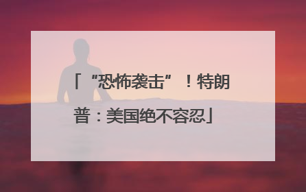 “恐怖袭击”！特朗普：美国绝不容忍
