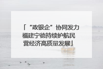 “政银企”协同发力 福建宁德持续护航民营经济高质量发展