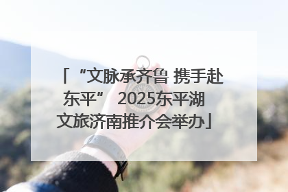 “文脉承齐鲁 携手赴东平” 2025东平湖文旅济南推介会举办