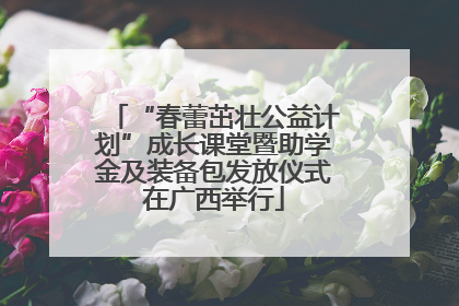 “春蕾茁壮公益计划”成长课堂暨助学金及装备包发放仪式在广西举行
