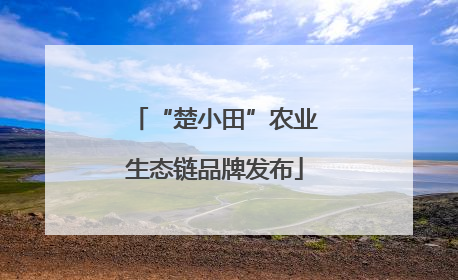 “楚小田”农业生态链品牌发布