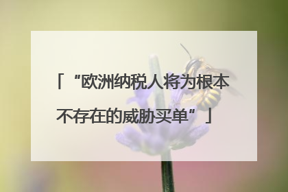 “欧洲纳税人将为根本不存在的威胁买单”