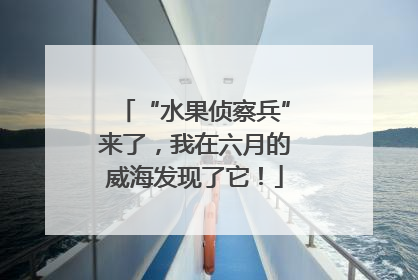 “水果侦察兵”来了，我在六月的威海发现了它！