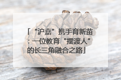 “沪嘉”携手育新苗：一位教育“摆渡人”的长三角融合之路