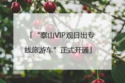 “泰山VIP观日出专线旅游车”正式开通