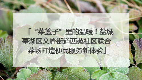 “菜篮子”里的温暖！盐城亭湖区文峰街道西苑社区联合菜场打造便民服务新体验