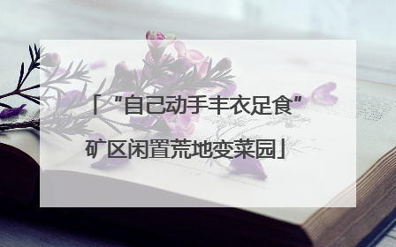 “自己动手丰衣足食”矿区闲置荒地变菜园