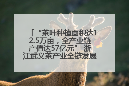 “茶叶种植面积达12.5万亩，全产业链产值达57亿元” 浙江武义茶产业全链发展“加速度”