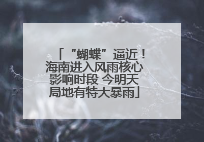 “蝴蝶”逼近！海南进入风雨核心影响时段 今明天局地有特大暴雨