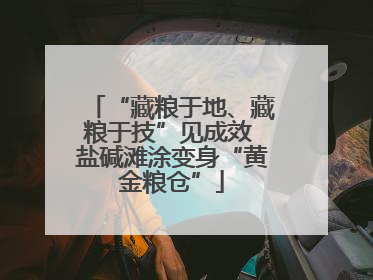 “藏粮于地、藏粮于技”见成效 盐碱滩涂变身“黄金粮仓”