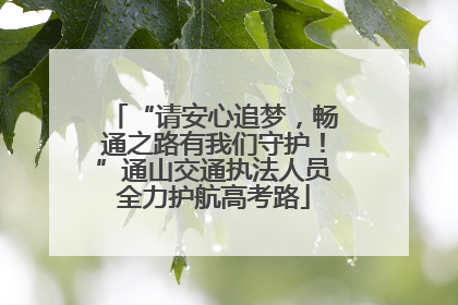 “请安心追梦，畅通之路有我们守护！”通山交通执法人员全力护航高考路