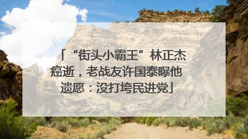 “街头小霸王”林正杰癌逝，老战友许国泰曝他遗愿：没打垮民进党