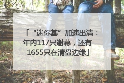 “迷你基”加速出清：年内117只谢幕，还有1655只在清盘边缘