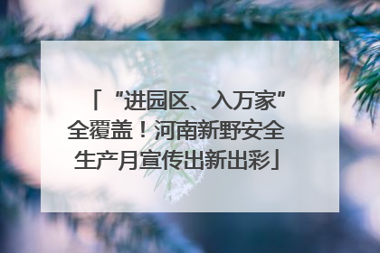 “进园区、入万家”全覆盖！河南新野安全生产月宣传出新出彩