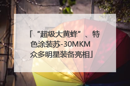 “超级大黄蜂”、特色涂装苏-30MKM 众多明星装备亮相